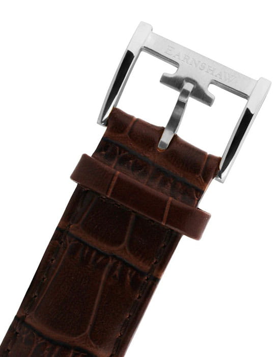 Earnshaw Earnshaw ES-8011-01 мужские часы серебристый циферблат на запястье