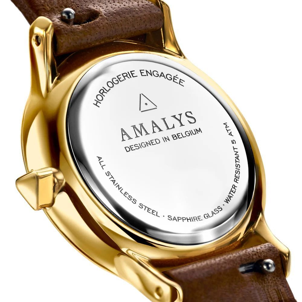 Оригинальные часы Amalys Amalys Watson AMW-164 кварцевые калибр механизма  общий вид