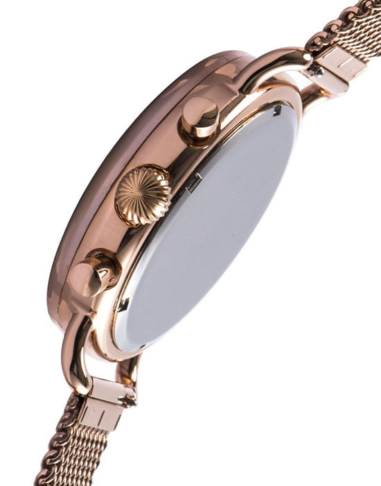 Оригинальные часы Earnshaw Earnshaw Investigator ES-8001-55 кварцевые калибр механизма  общий вид