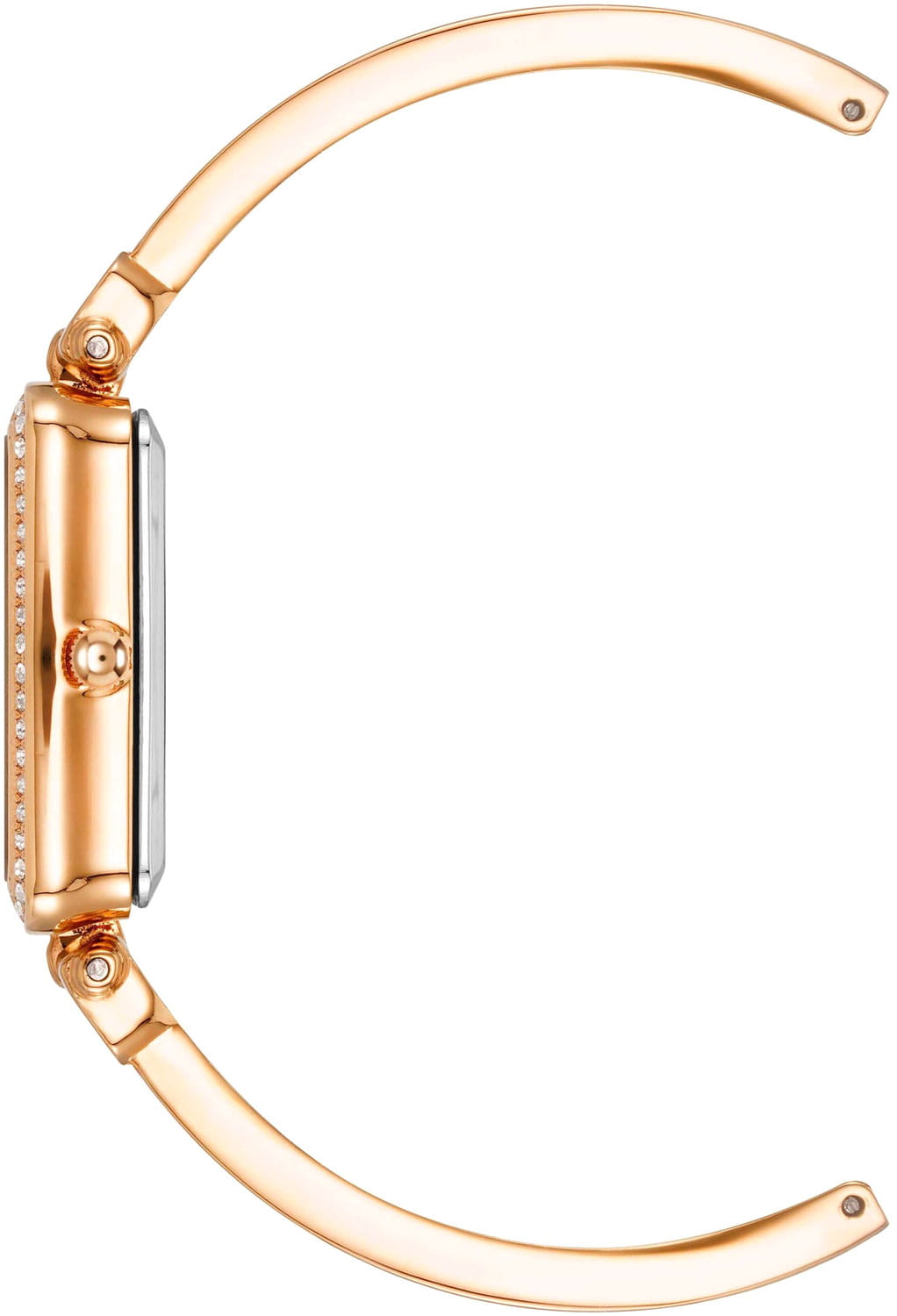 Anne Klein Anne Klein Classic 3898WTST , наручные женские часы фото под углом