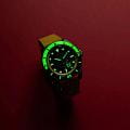 Spinnaker SP-5160-01