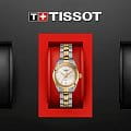 Часы Tissot PR 100 Lady Small T101.010.22.111.00 фото 3