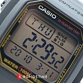 Часы Casio Collection W-800HG-9AVDF (W-800HG-9A) фото 3