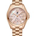 Часы Beverly Hills Polo Club BP3653C.410