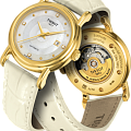 Tissot T9070071610601