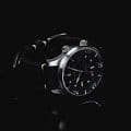 Spinnaker SP-5062-03