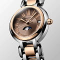 Longines L81155617