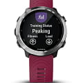 Garmin 010-01863-31