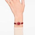 Swarovski 5675998