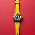 Spinnaker SP-5160-01